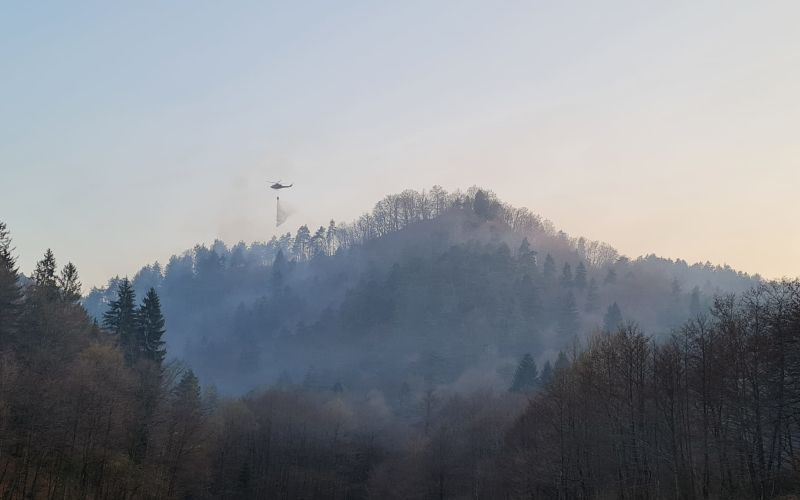 požarljubljana.jpg