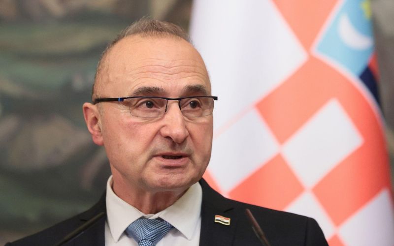 Gordan Grlić Radman