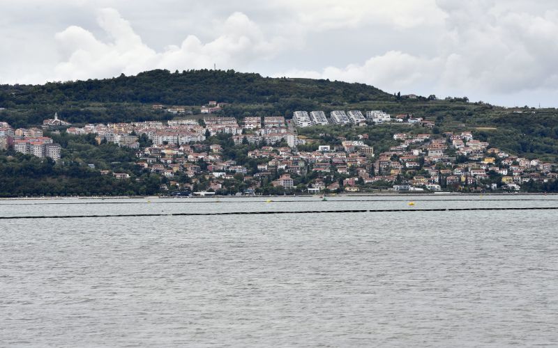 Semedela