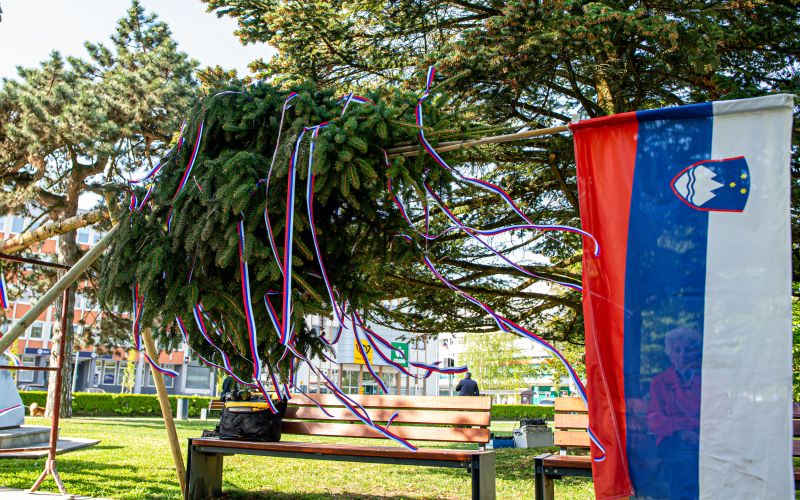 mlaj, postavljanje-mlaja