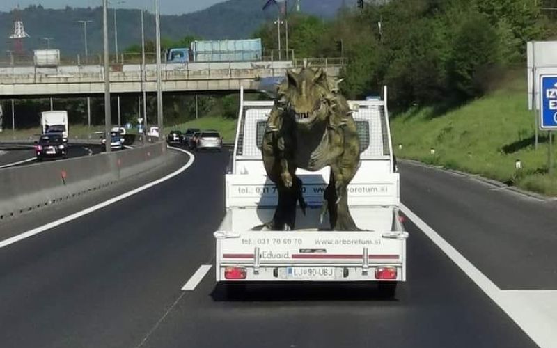 _tasca.jpg