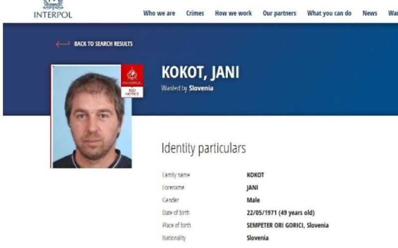 jani kokot.jpg