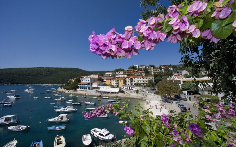 festival-škampi