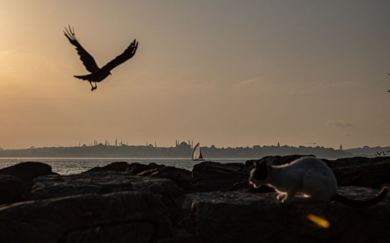 istanbul, sončni zahod.jpg