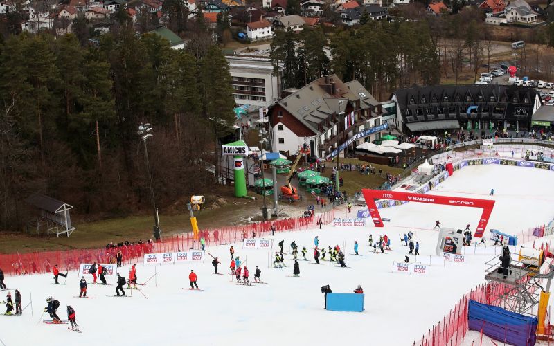 pohorje zlata lisica.JPG