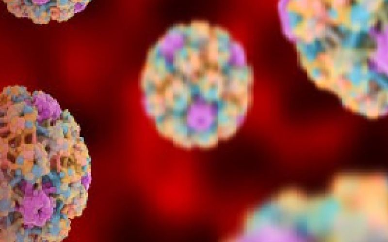 hpv.png