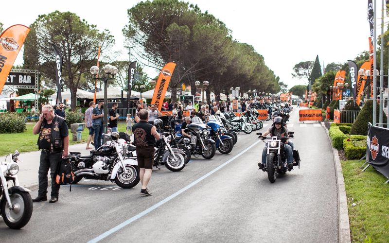 harley-davidson