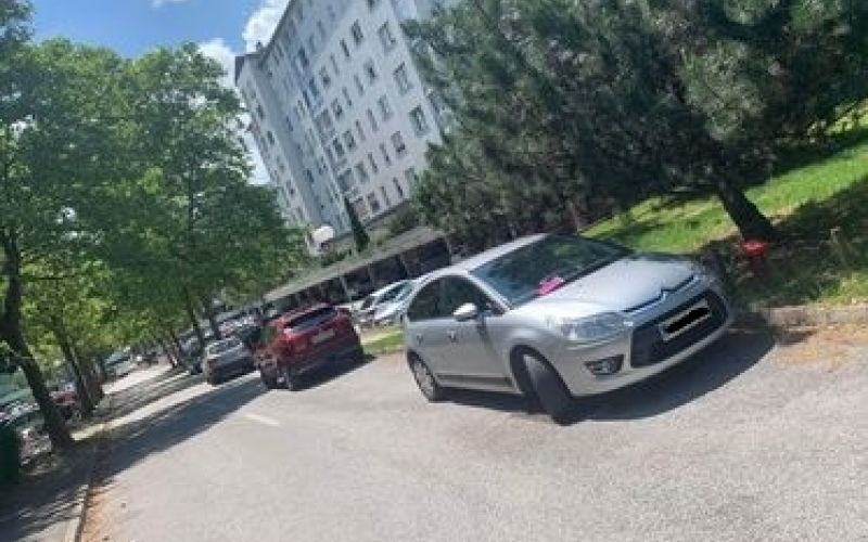 borova-vas, parkiranje, redarstvo