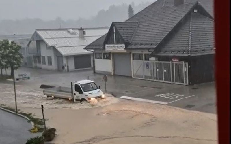 _cikava.jpg