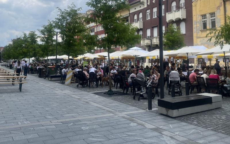 sočna-vilica
