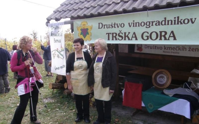 _zapora_ts__0_.jpg