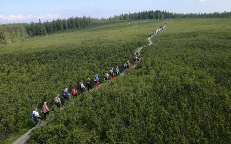 _upohorje__01_.jpg
