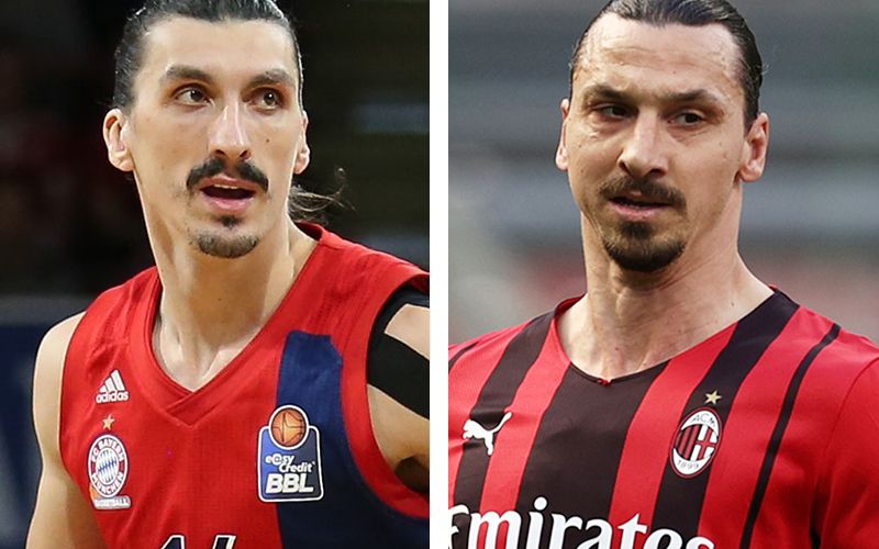 djedovic ibrahimovic.jpg