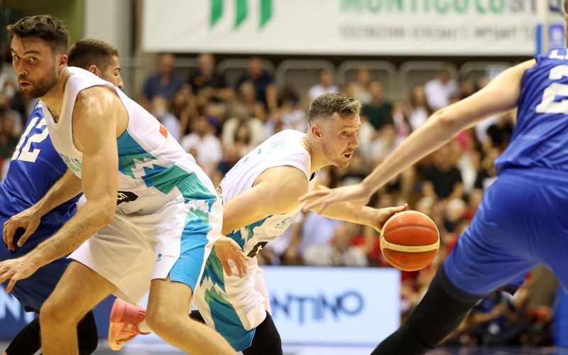 goran dragic trst 22 af.JPG