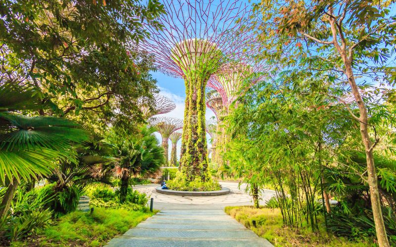 p resitve za planet gardens of th bay.jpg