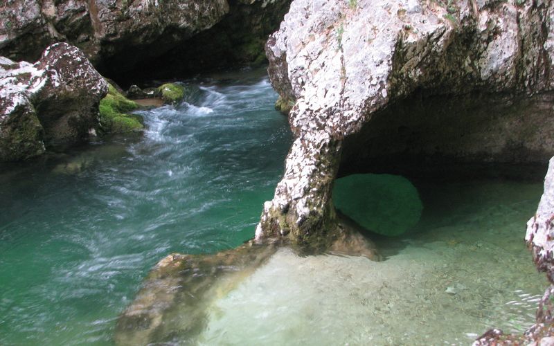 Mostnica_sloncek_foto_JZ_TNP.jpg