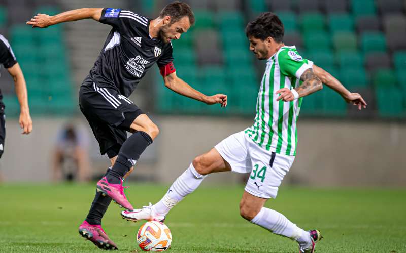 olimpija, mura, stožice