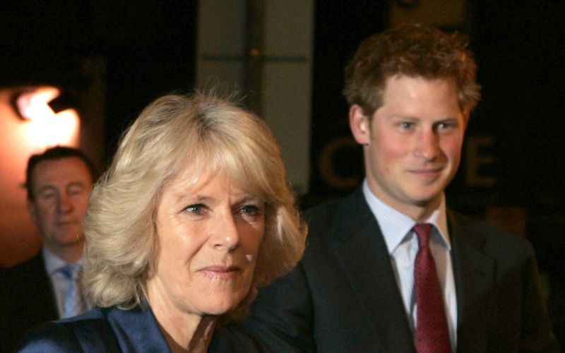 Camilla in princ Harry leta 2008 ... Princ je v svoji knjigi povedal, da nikoli ni imel pretiranega