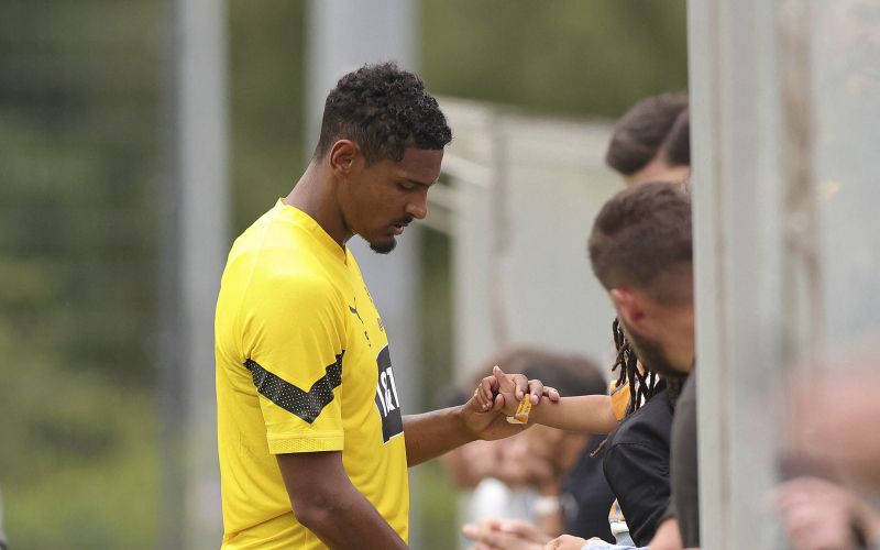 haller.jpg