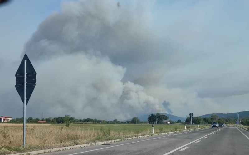 požar pri trstu