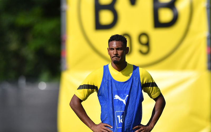 haller.jpg