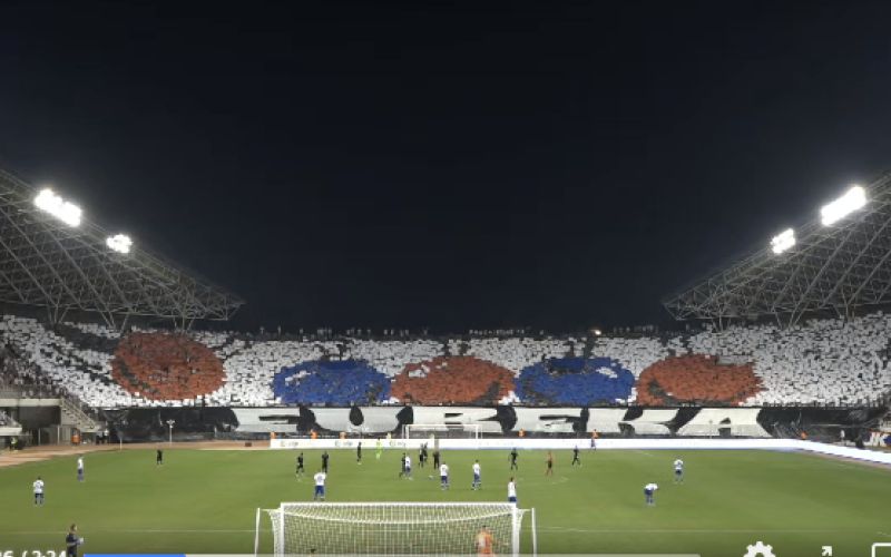 hajduk žv.png