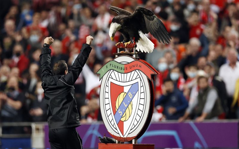 benfica orel