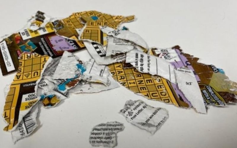 Oregon-couples-winning-lottery-ticket-shredded-by-dogs.jpg