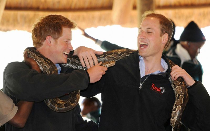 princ harry, princ william