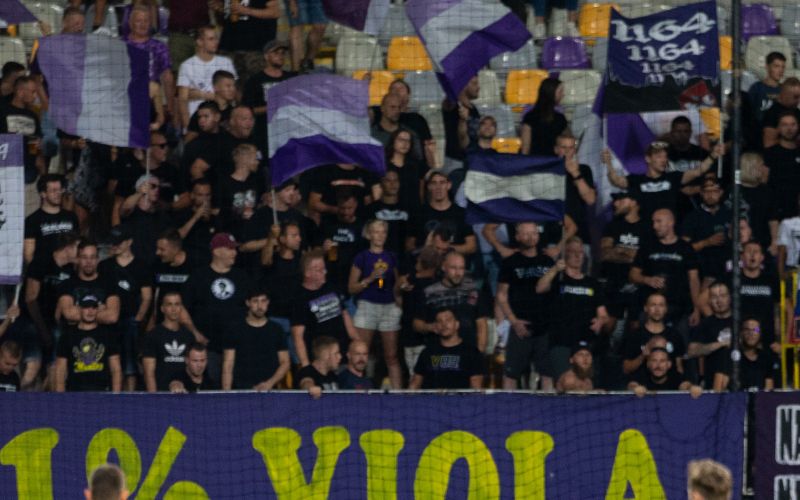 viole.jpg