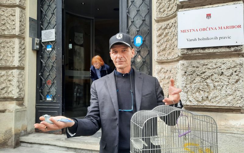 ivan bolfek.jpg