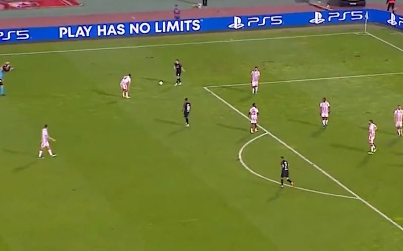 crvena zvezda.jpg
