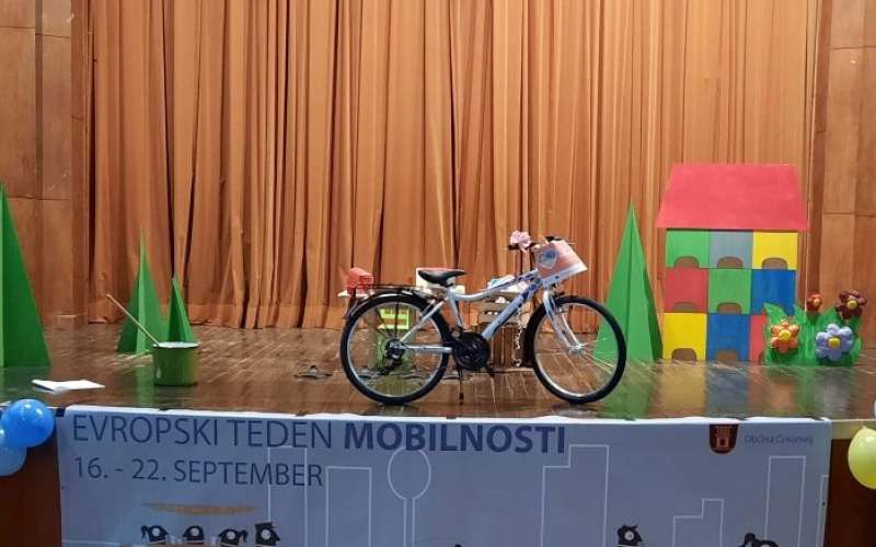 _zmobilnost__02_.jpg