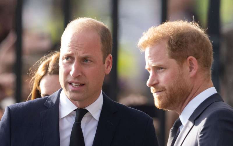 Princ William, princ Harry.jpg