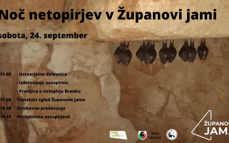 _zjami.jpg
