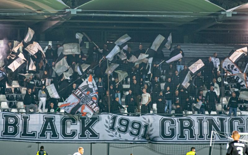 black gringos