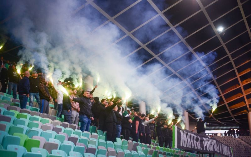 olimpija green dragons 1.JPG