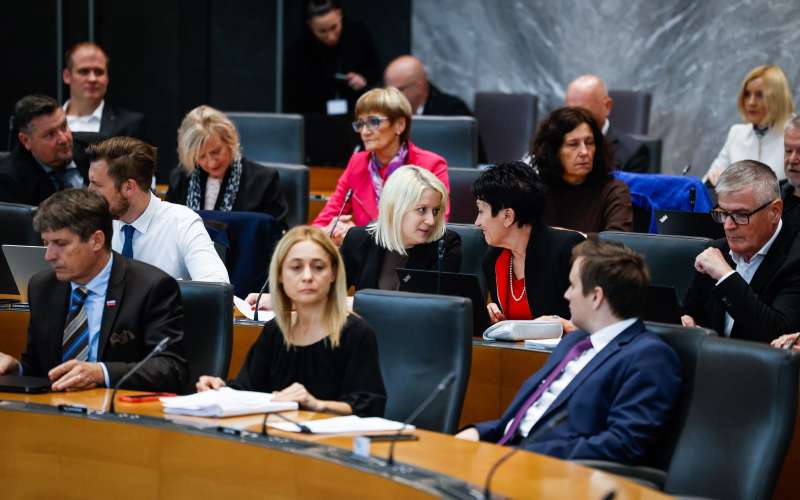 državni zbor, poslanci.jpg