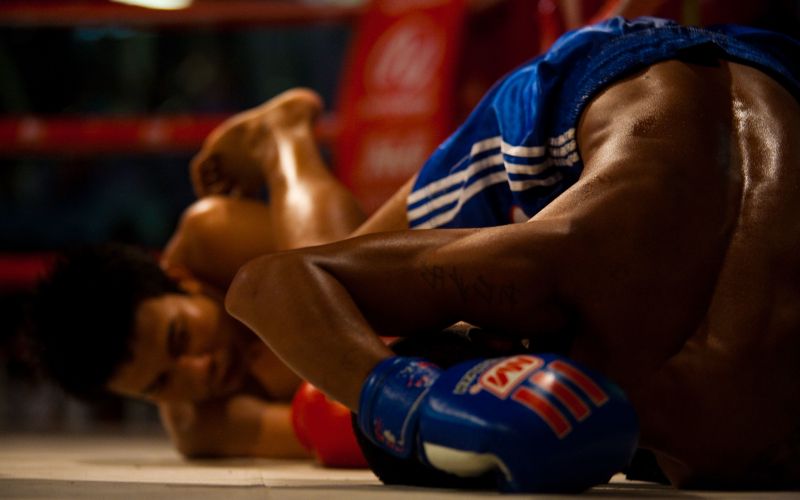 mma.jpg