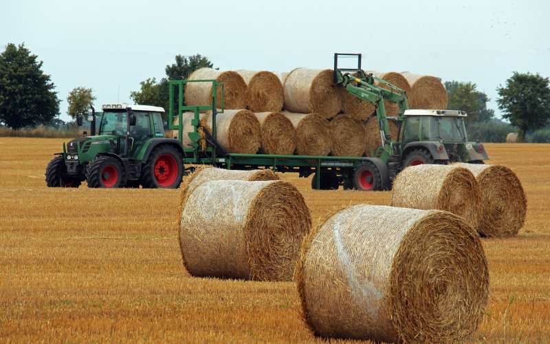 harvest-g47a42a2fc_1920.jpg