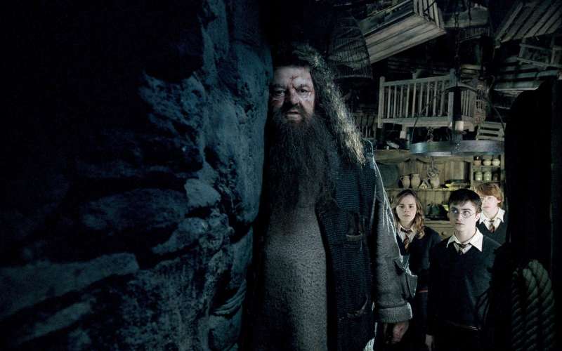 Robbie Coltrane, Hagrid, Harry Potter