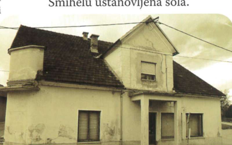 _zsmihel__0_.jpg