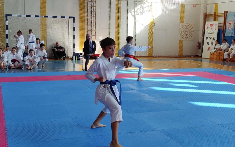 karate, liga, shotokan-karate-do, gornja-radgona, lenart