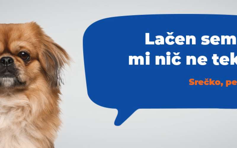 Pekinzan_banner1_desktop.jpg