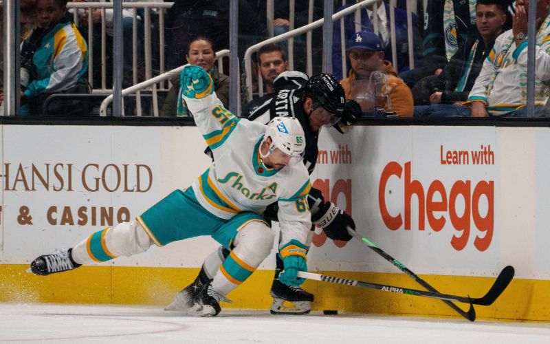 kopitar 22 pm.jpg