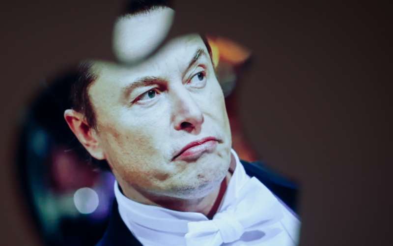 elon2.jpg