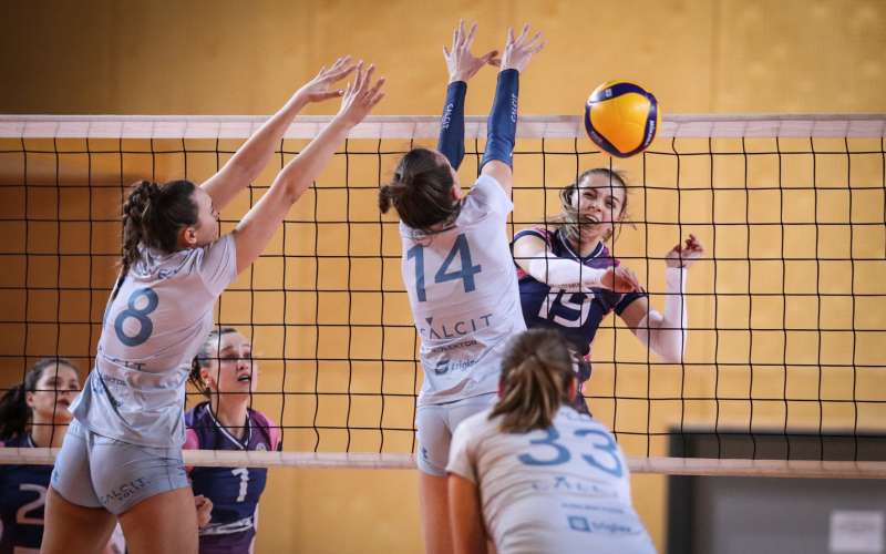 odbojka, žok-ljutomer, calcit-volley