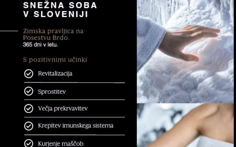 Snežna soba.png