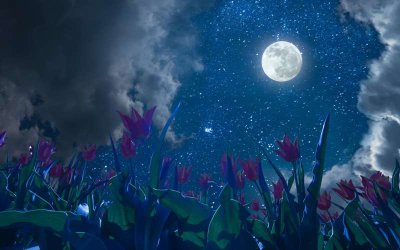 luna