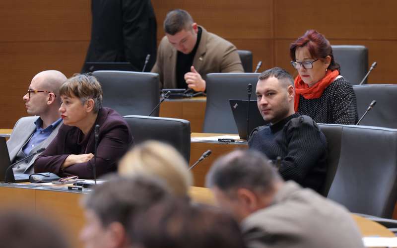 levica DZ.jpg